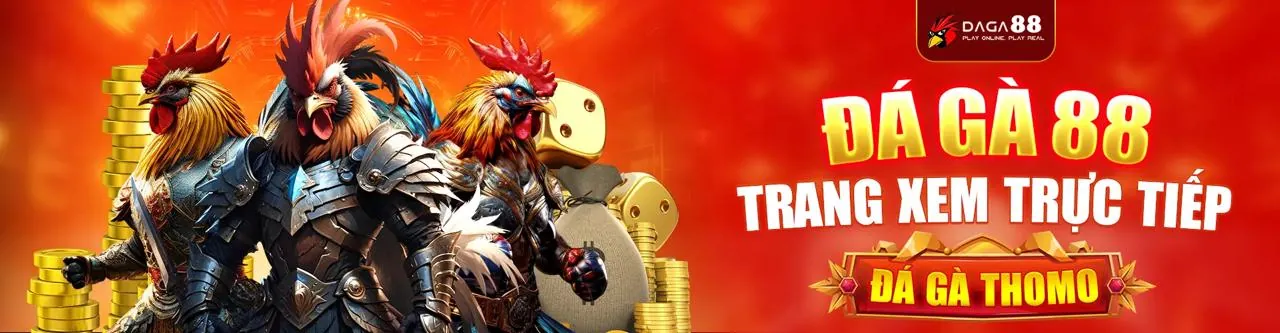 Đội ngũ hỗ trợ khách hàng 24/7 của 99vn